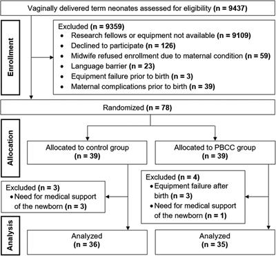 Does physiological-based cord clamping improve cerebral tissue oxygenation and perfusion in healthy term neonates? – A randomized controlled trial